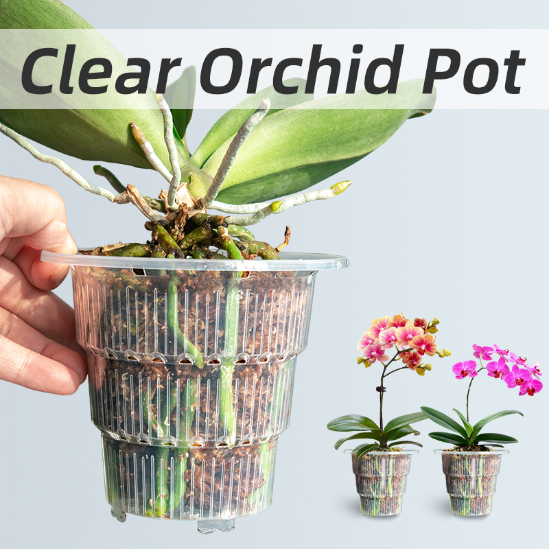 Aloe Vera Pot - Vasos plásticos claros da orquídea com