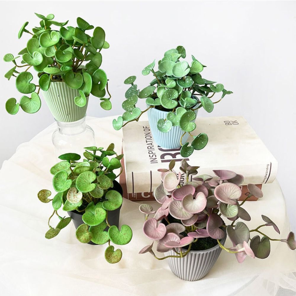 Echeveria Succulent - Cola macia planta artificial eva verde