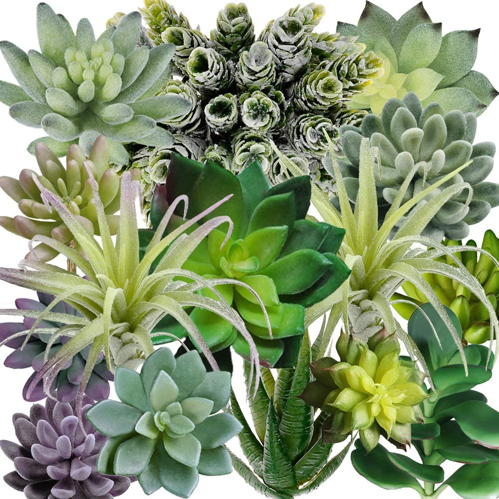 Echeveria Succulent - Pacote com 15 Suculentas Artificiais Sortidas,