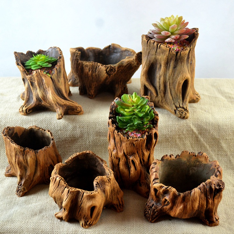 Echeveria Succulent - Imitação de estacas de madeira, raízes
