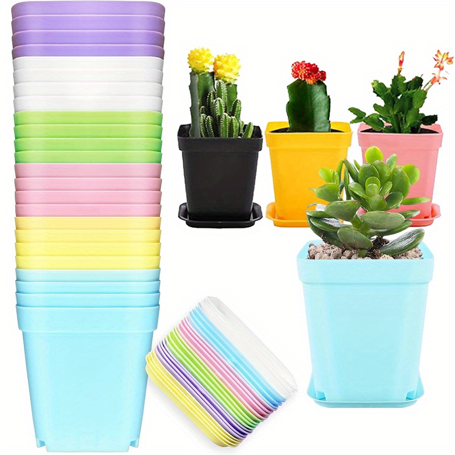 Aloe Vera Pot - 12 vasos quadrados de plástico de