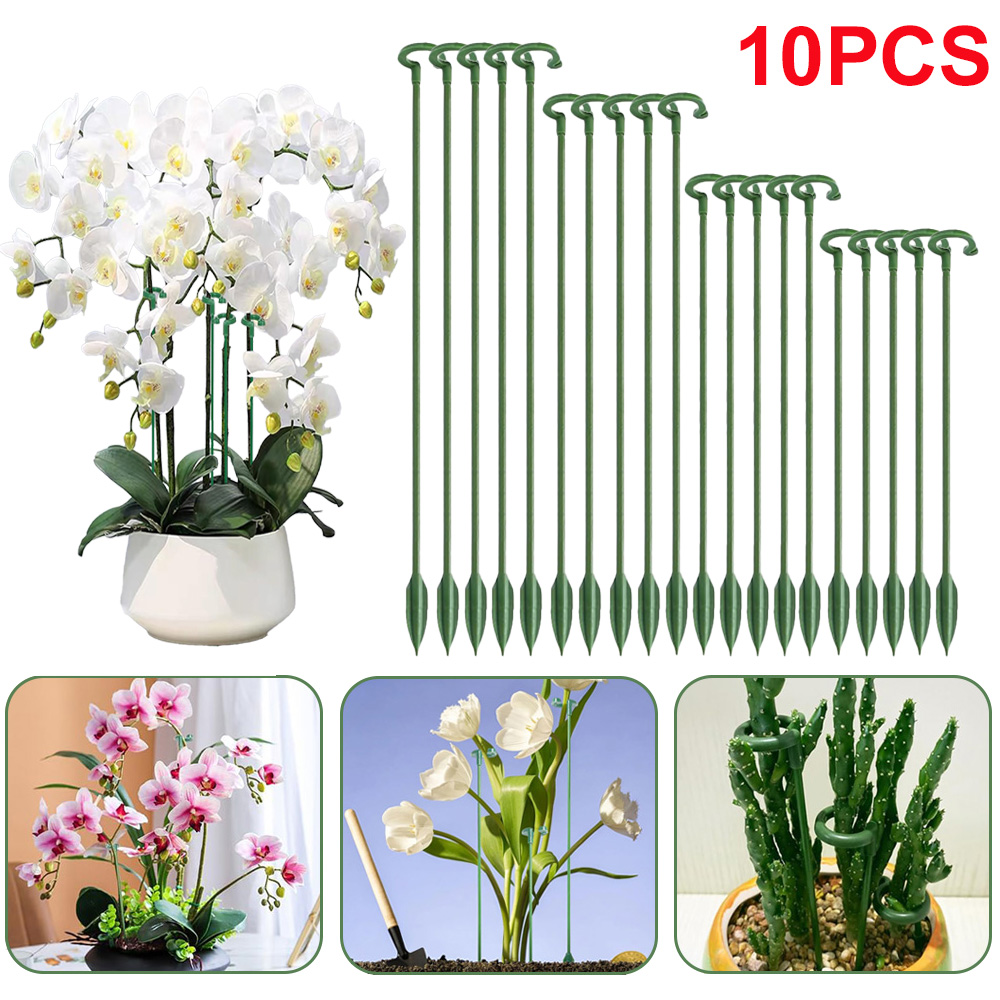 Echeveria Succulent - Suportes para Plantas em Vaso (5/10
