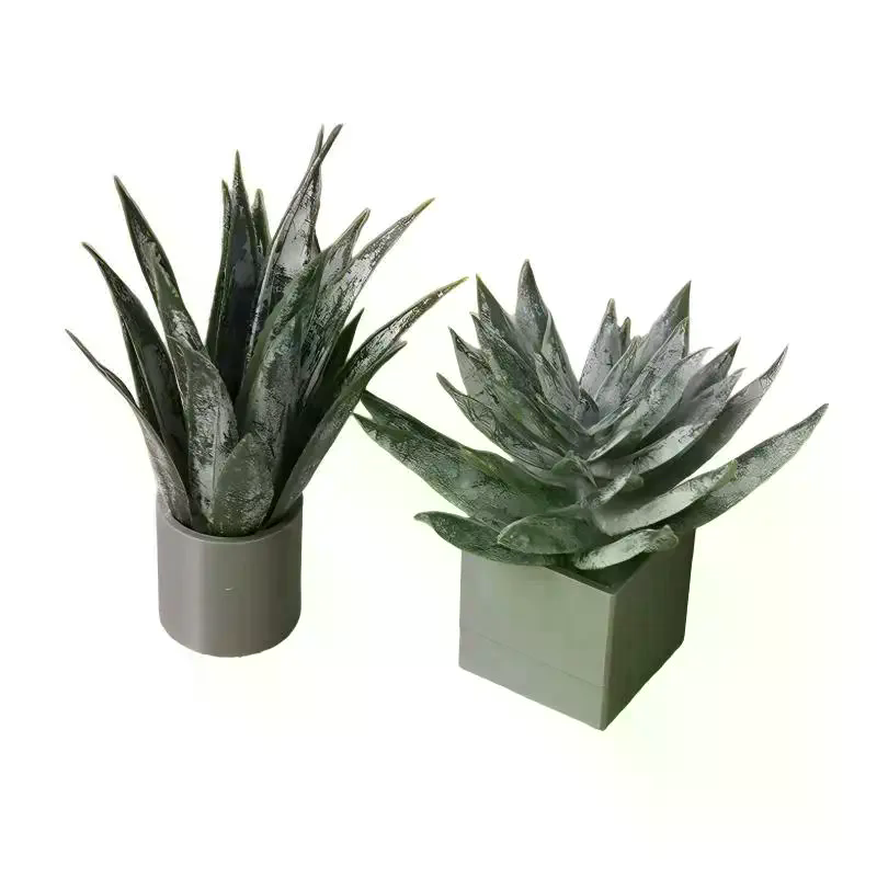 Miniatura de Planta de Aloe Ve - Aloe Vera Pot avaliação e preço