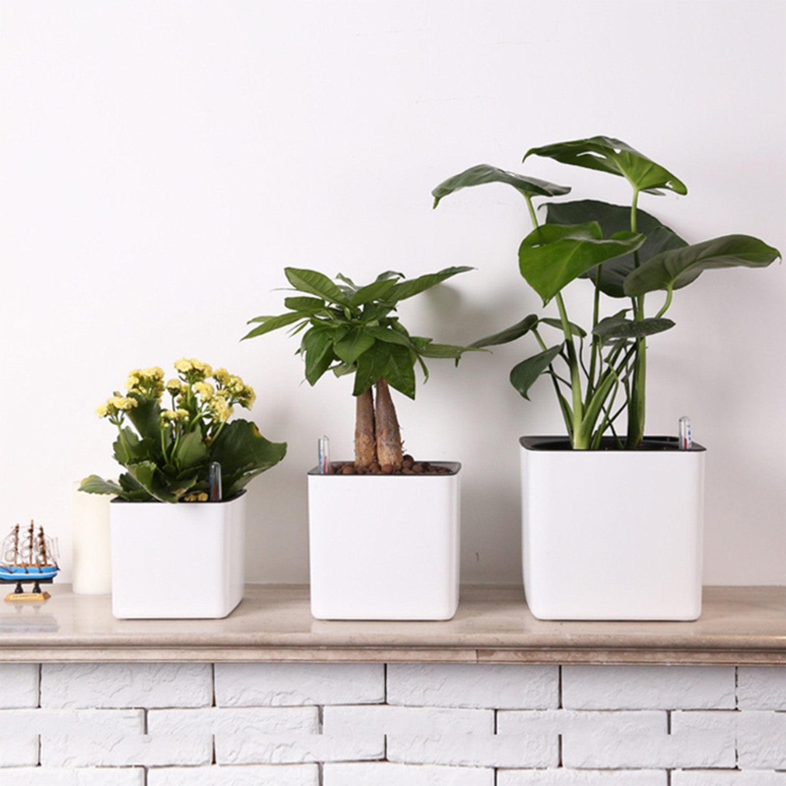 Vaso de plantas de flores com  - Aloe Vera Pot avaliação e preço