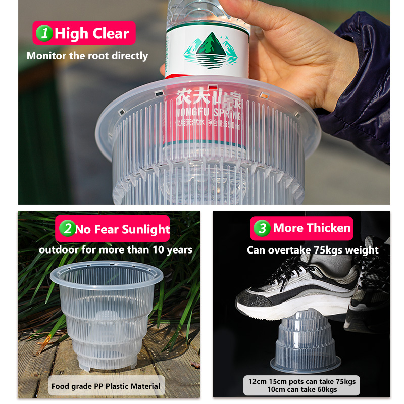Vasos plásticos claros da orqu - Aloe Vera Pot avaliação e preço