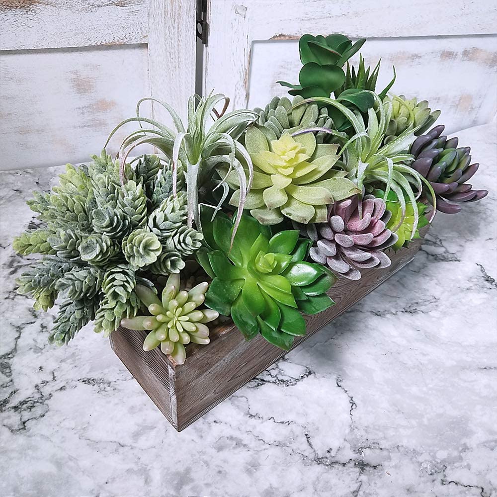 Pacote com 15 Suculentas Artif - Echeveria Succulent avaliação e preço