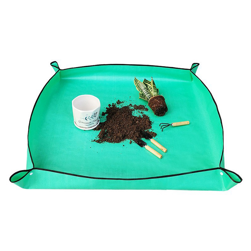 Tapete para Transplante de Pla - Echeveria Succulent avaliação e preço