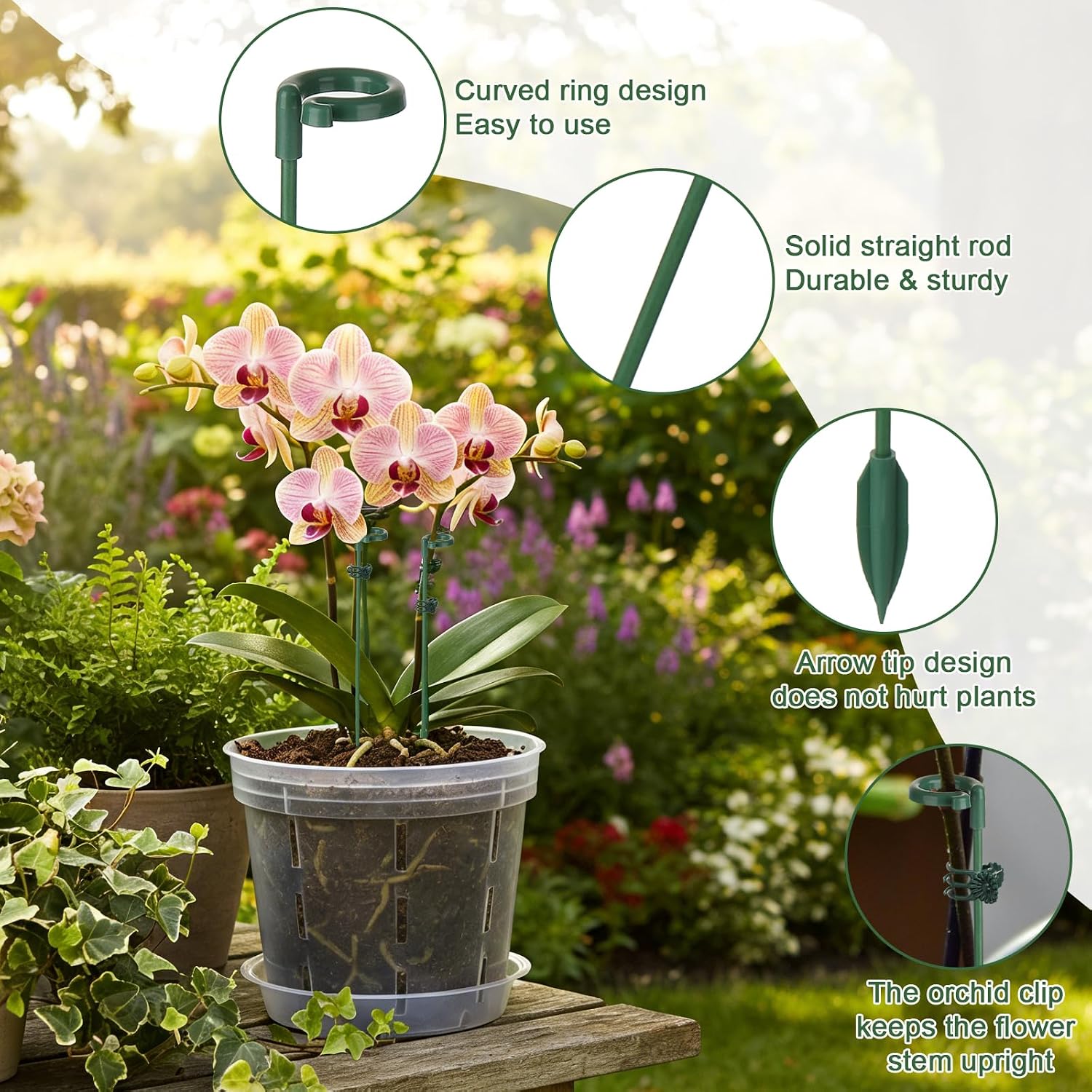 Suportes para Plantas em Vaso  - Echeveria Succulent avaliação e preço